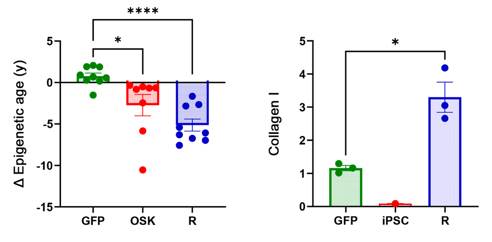 Princial component (PC) Skin & Blood DNA methylation clock