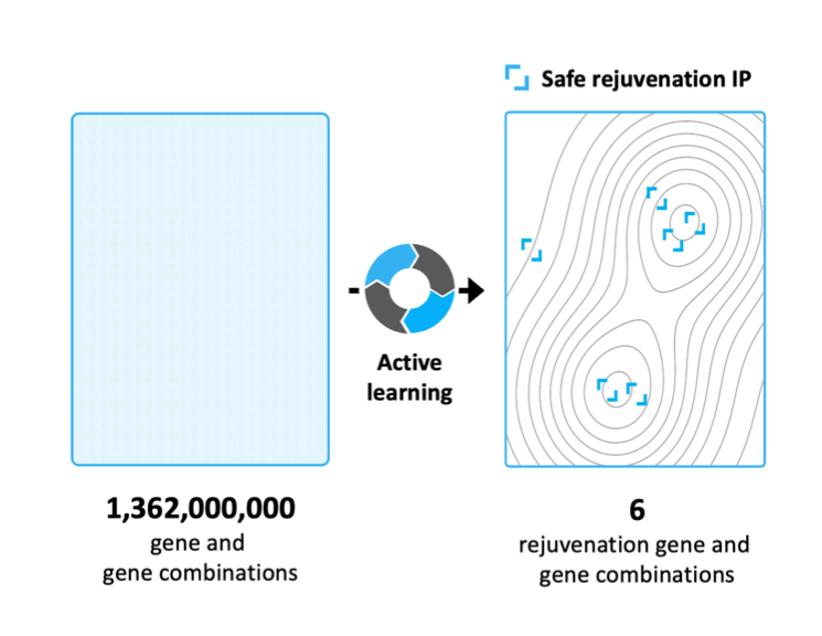 Gene rejuvenation IP chart