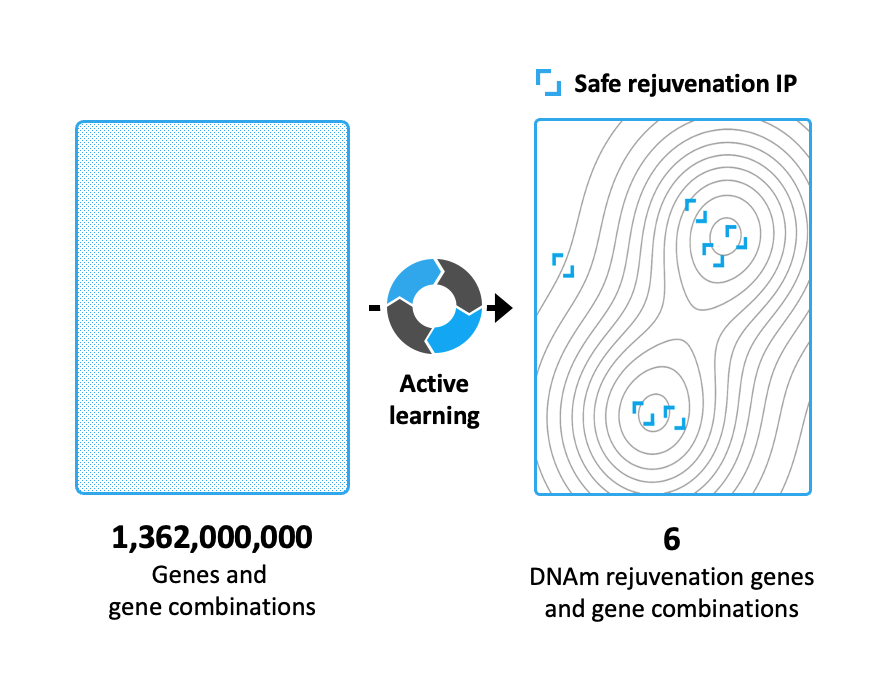 Gene rejuvenation IP chart